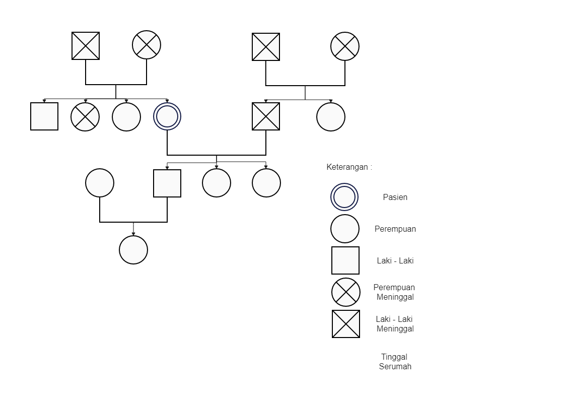 Akhirnya Terungkap Cara Membuat Genogram di Word 2026 dengan 3 Langkah Mudah