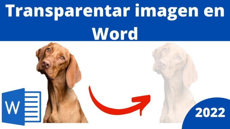Bagaimana cara membuat gambar Word menjadi transparan Bagaimana cara membuat gambar Word menjadi transparan