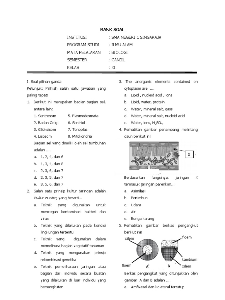 7 Rahasia Soal Biologi Kelas 11 Semester 1 Beserta Jawabannya yang Mengubah Cara Belajarmu