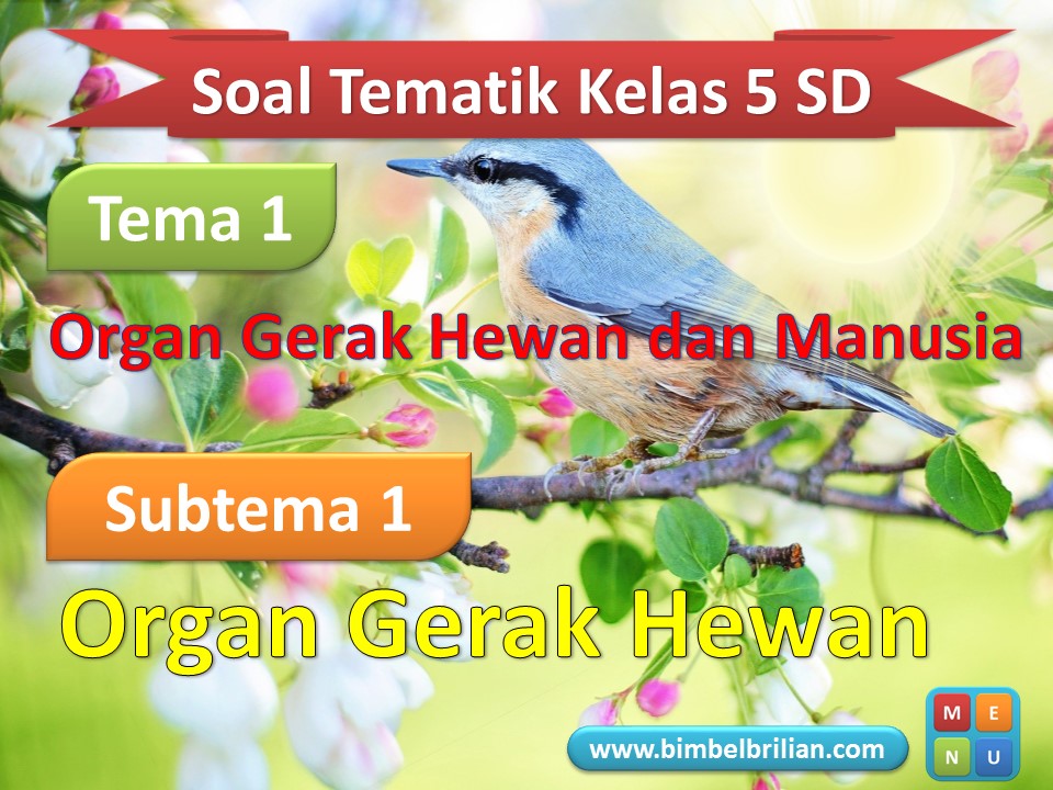 7 Rahasia Soal Tema 1 Kelas 5 2026 yang Jarang Diketahui, Wajib Kamu Latih Sebelum Ulangan