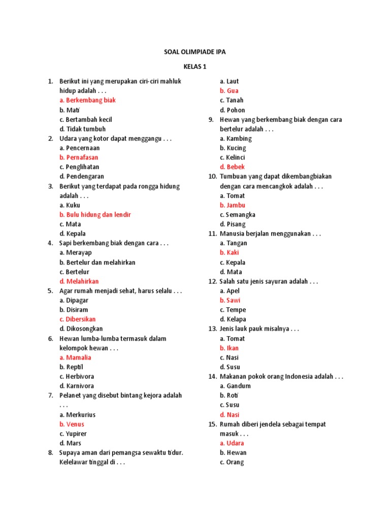 Rahasia Juara: 10 Latihan Soal Olimpiade Sains Kelas 1 SD Agar Anak Cepat Pintar Rahasia Juara: 10 Latihan Soal Olimpiade Sains Kelas 1 SD Agar Anak Cepat Pintar